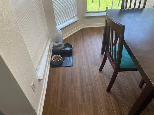 Diana not only cleaned the dining room but also the mat we use for our dog's food and water bowl!