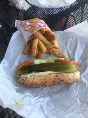 Chicago style hot dog and fries