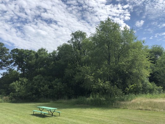 Backyard area at this wonderful motel