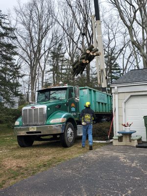 Keith Brummer Tree and Firewood Service