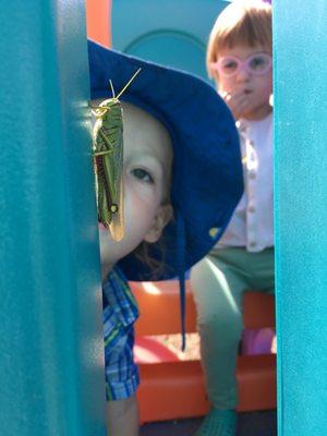 Children are encouraged to explore, observe, and learn from the the natural world.