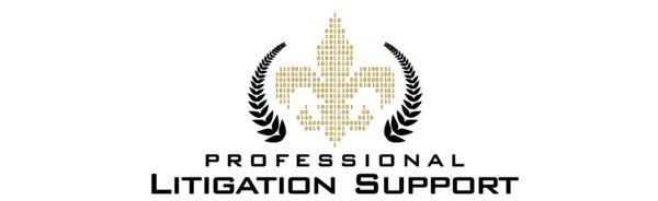 Professional Litigation Support