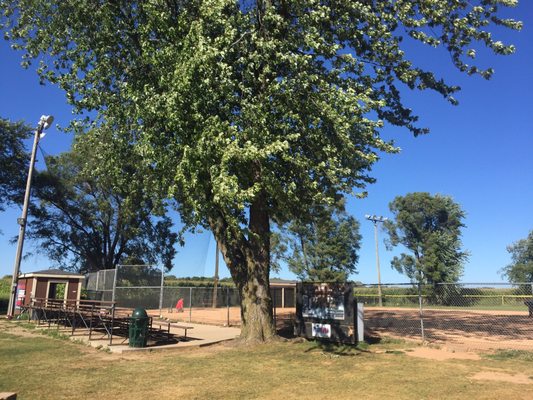 Field of Dreams...baseball diamonds...corn fields...cold beer! Ghosts? This must be heaven!