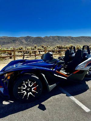 Slingshot adventure in Joshua Tree