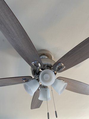 Fan replacement