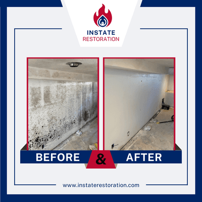 Mold Damage Restoration