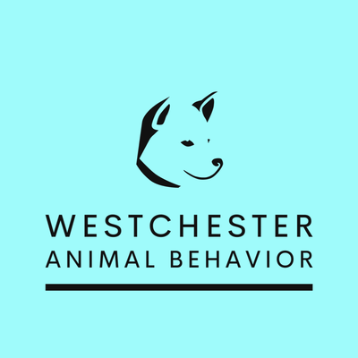 Searching for dog trainer near me? Westchester Animal Behavior is here to help!