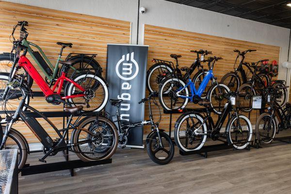 AMI eBikes