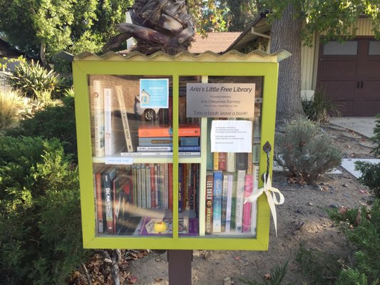 Aria's Little Free Library