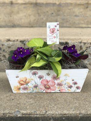 "Love you Mom" African Violet Box