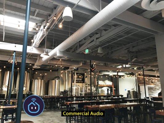 Fort Rock Brewery pendant speakers