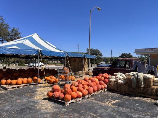 Bruce Miller Nursery