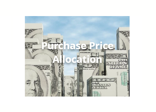 Purchase Price Allocation Services