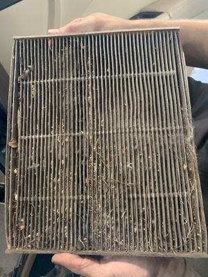 Sure the dealer changed my filter this year...