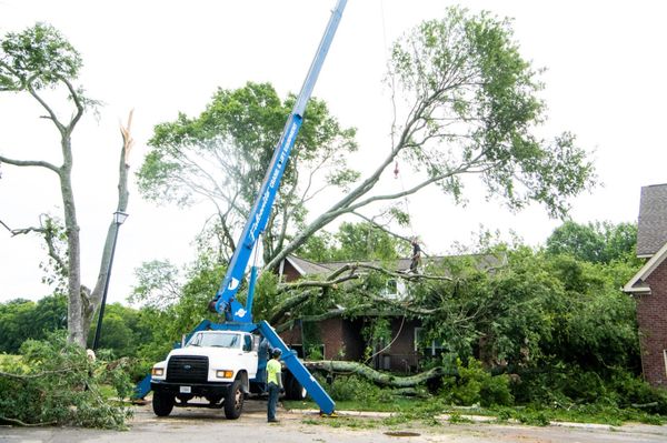 Aarons Outdoors Tree Service