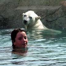 Swim with the Polar Bears at Cochrane Polar Bear Habitat, Ontario, Canada