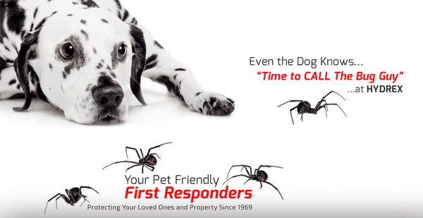 Call Hydrex Termite & Pest control of Ventura! We're your pet-friendly first responders, ready to serve our local neighborhood!