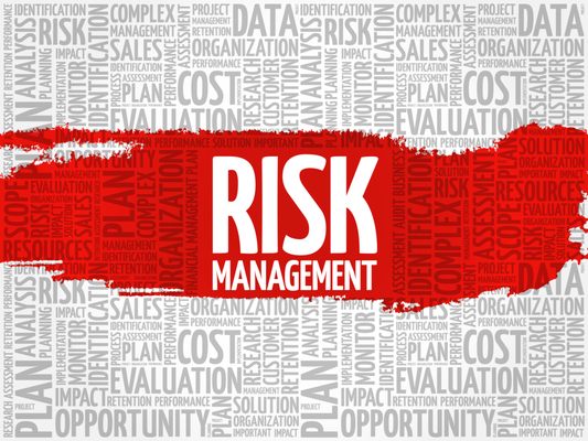 One of the biggest problems new businesses face is assessing their risk, Arik can help you identify issues before they become problems.