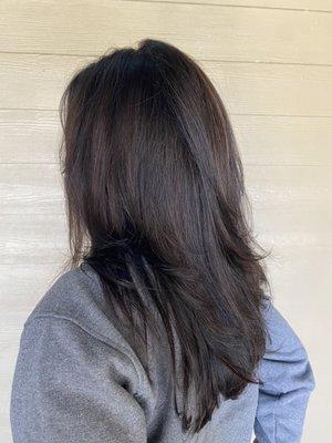 Brunette highlights with a long layered cut