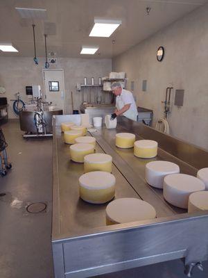 Wrapping cheddar wheels at Cofield