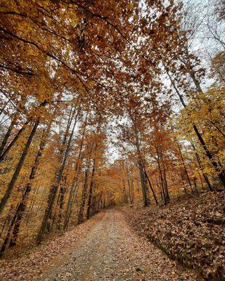 The drive in to the trail