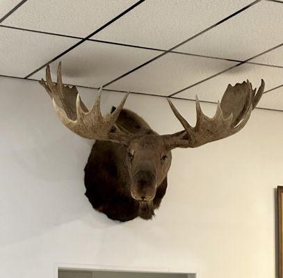 Wheaton Moose Lodge