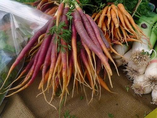 Pretty purple carrots