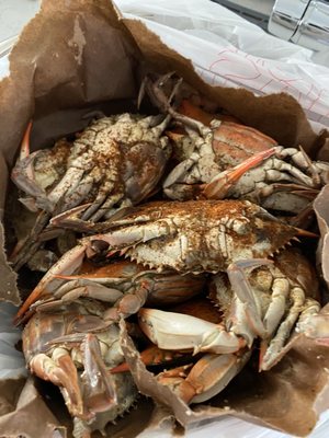 Dozen mix medium and large crabs