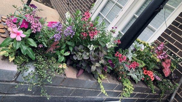 Oak Street Garden Shop