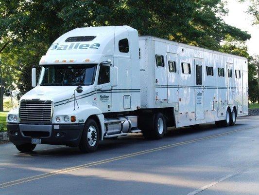 Sallee Horse Vans