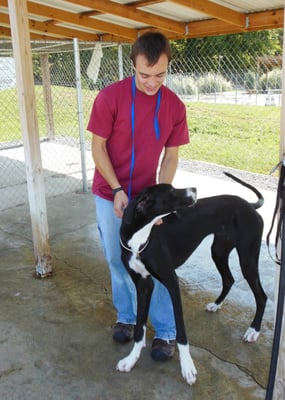 Gettin a Little Great Dane Love!!