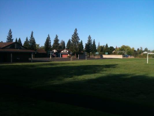 Basketball courts + lawn