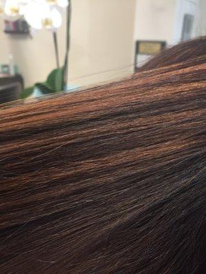 Rose Gold highlights on Medium Chocolate Brown base By:DaynaSantana