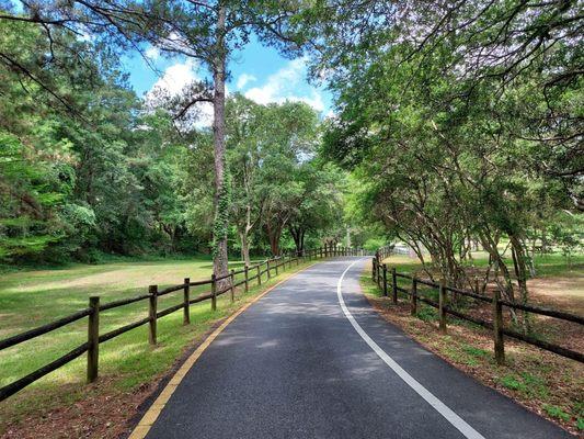 Scenic drive into park