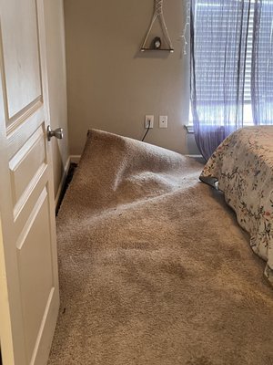 How my carpet was left for 3 days.