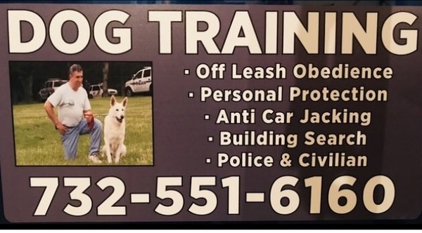 DOG TRAINING - DOG BOARDING - TRANSPORTS