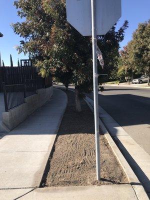 Side yard grass removal.