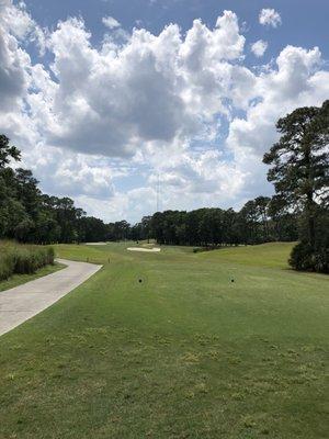 Hilton Head National Golf Club