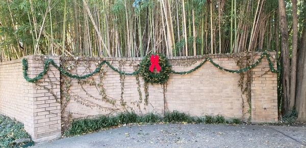 Lit garland and 36" wreath with big red bow