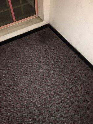 Human piss in the hallway by the elevator