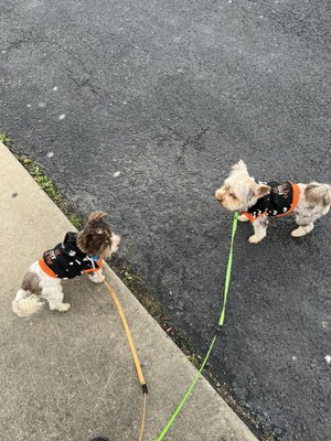 Woof Cutz Grooming