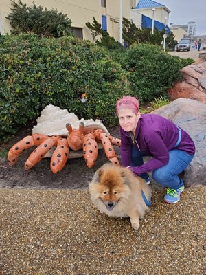 Kona at Virginia Beach