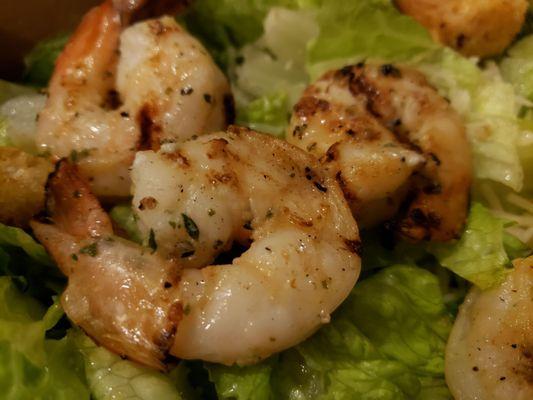 Ceasar Salad with grilled Shrimp