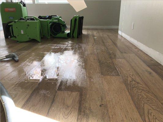 If your home or business suffers from water damage, make sure and give our SERVPRO of Longmont team a call as quickly as poss...