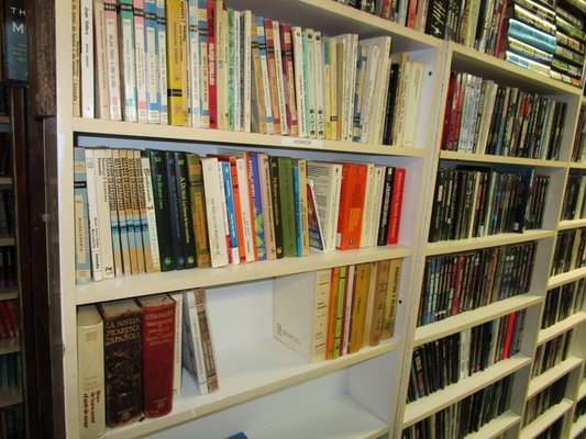 Spanish language and other foreign language books