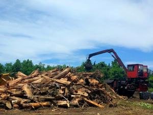 Natural woodwaste disposal and recycling