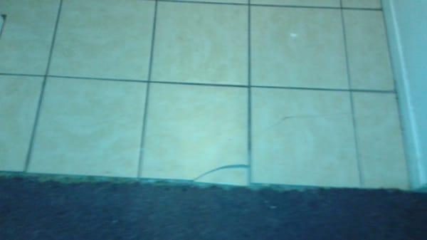 Broken tile everywhere