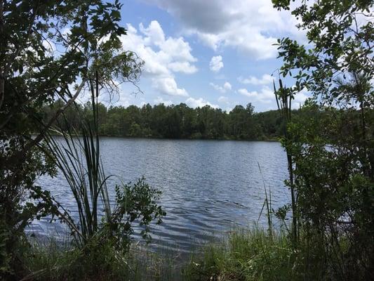 Longleaf Pine Preserve