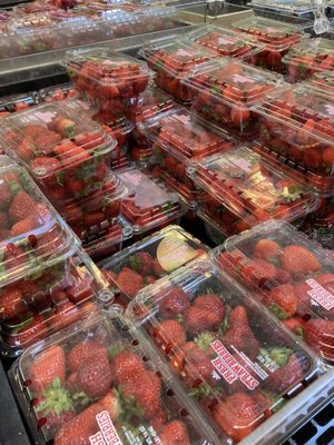 Fresh Strawberries