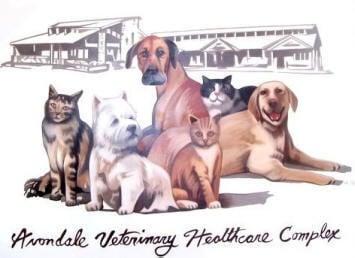 VCA Avondale Veterinary Hospital